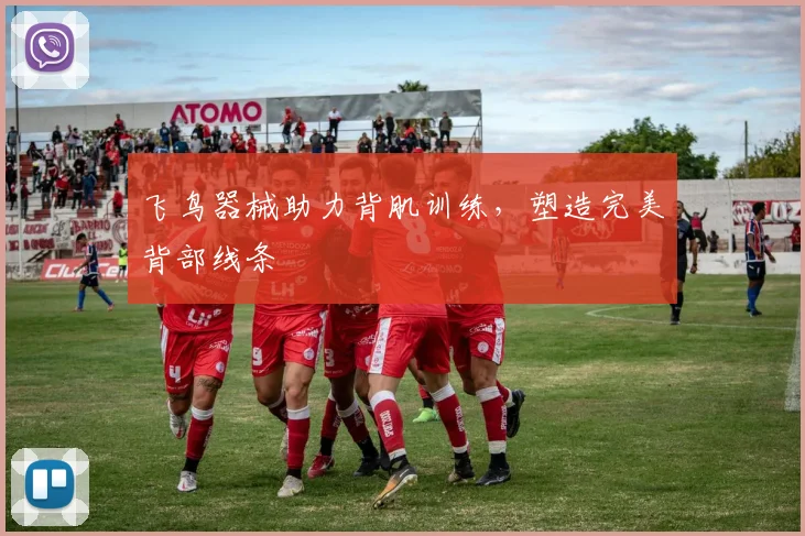 飞鸟器械助力背肌训练，塑造完美背部线条